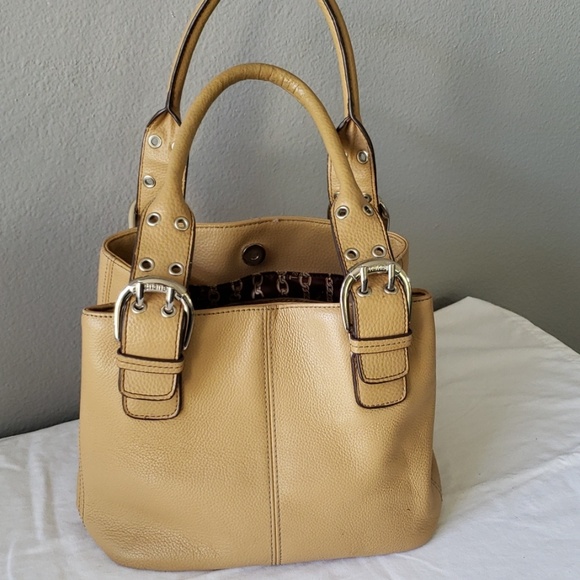 Tignanello Handbags - ⭐️HP⭐️Tignanello Satchel ⬇️